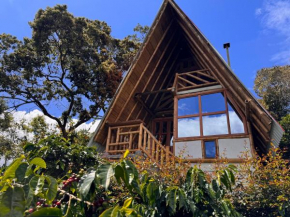 Glamping Los Nidos